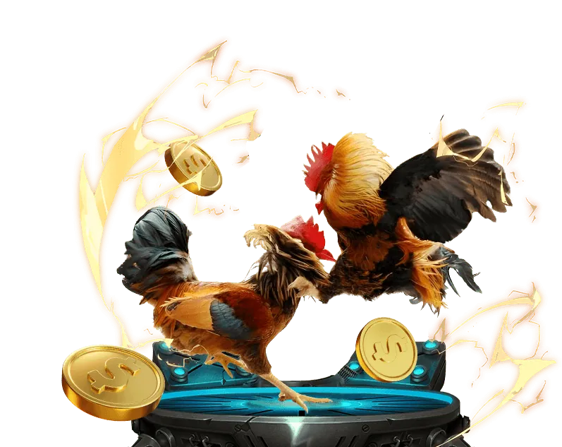 Sòng bạc trực tuyến JBO247 với người chia bài thật